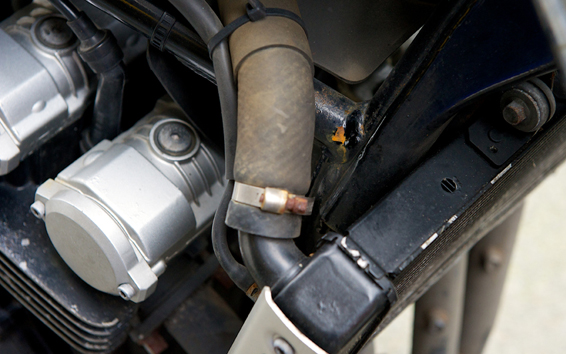 [Image: FZS600FrameRust-s.jpg]